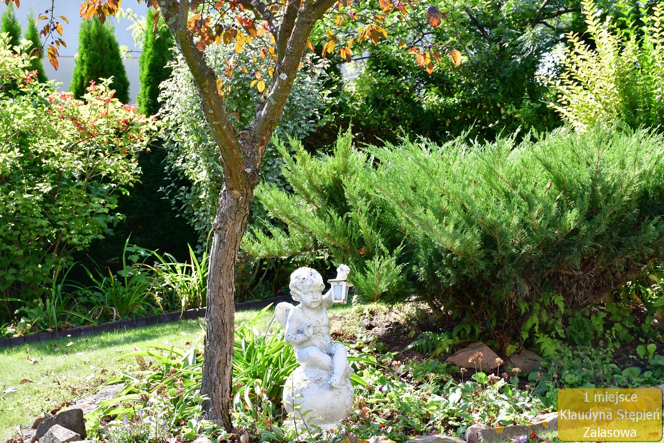 Ogród Klaudyny Stepień- laureat 1 miejsca